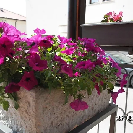 Apartment Charmantes In Mit Grosser Terrasse Novi Vinodolski